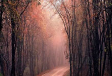 蓝鲸体育官网：有惊无险！沙特第38分钟破门，手球在先被判无效.