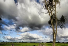 德天空：曼城、热刺、莱比锡和拜仁都在关注迪布林.