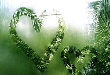 蓝鲸体育官网：留美博士孙卫东现状反差太大，让人无法接受，复旦校友不可置信.